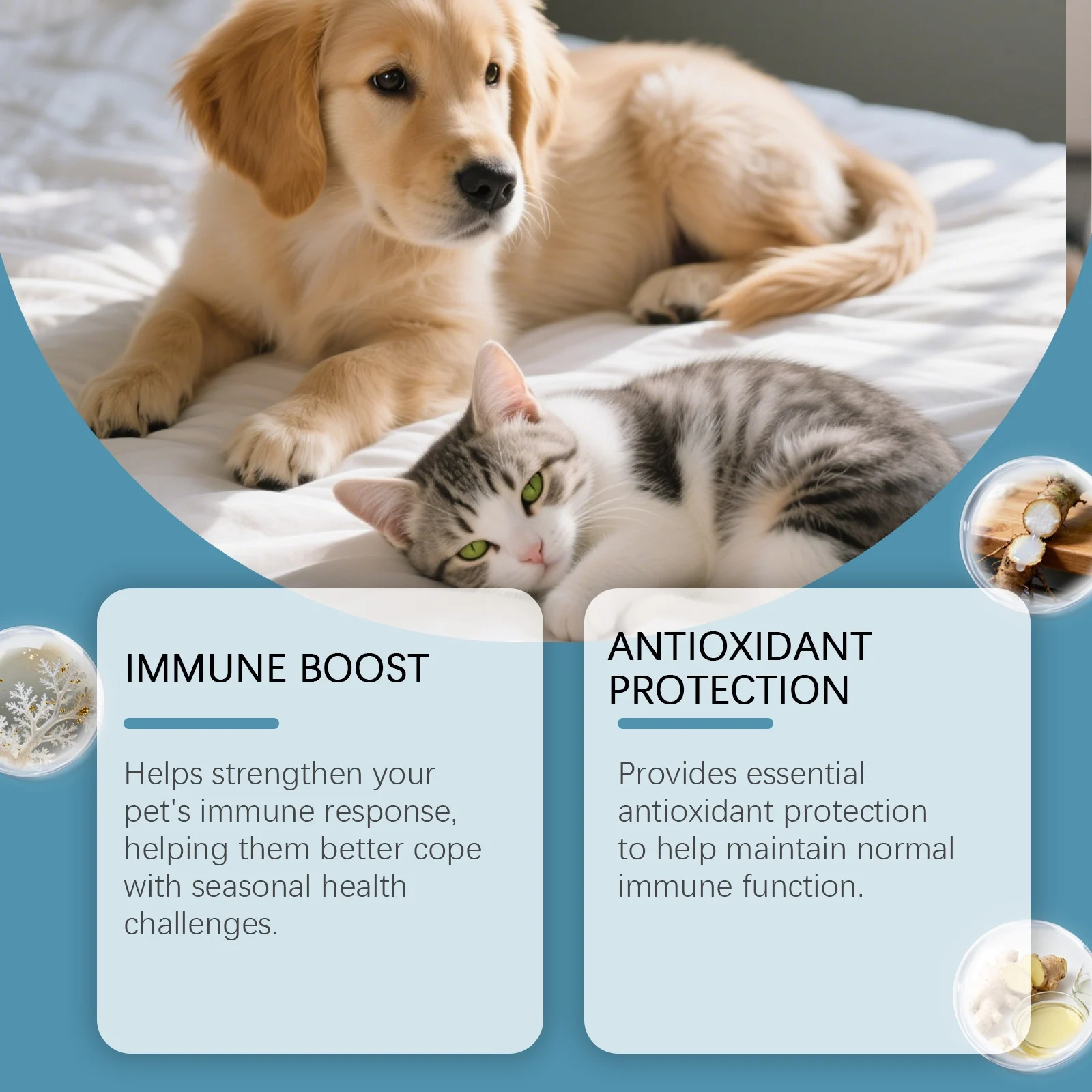 Kriath Pet Herbal Care Oral Liquid Is A Gentle And Nourishing Drop That Comforts Cats… — image 6