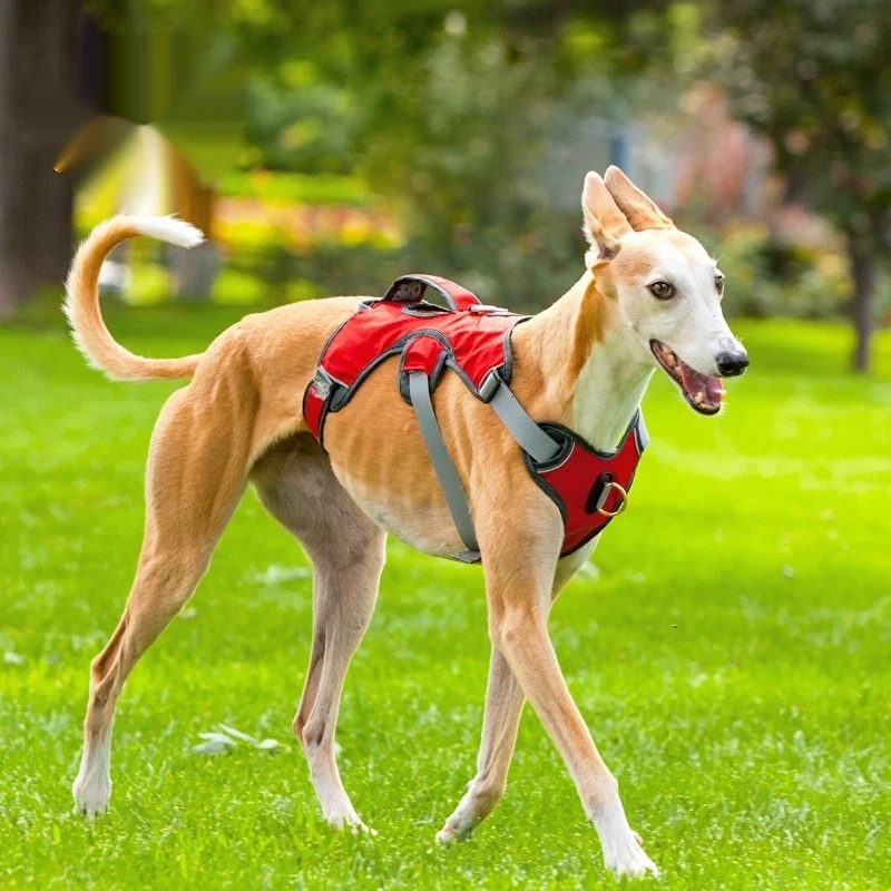 Large And Medium-sized Dog Outdoor Vest-style Harness — image 2