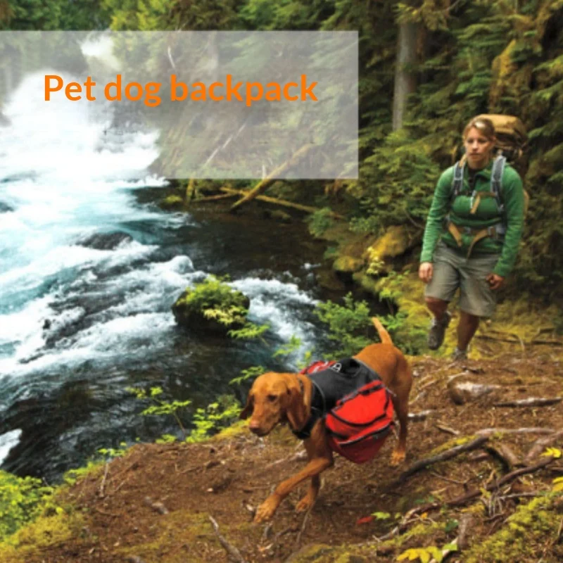 Large Dog Carrier For Travel And Outdoor Use — image 3