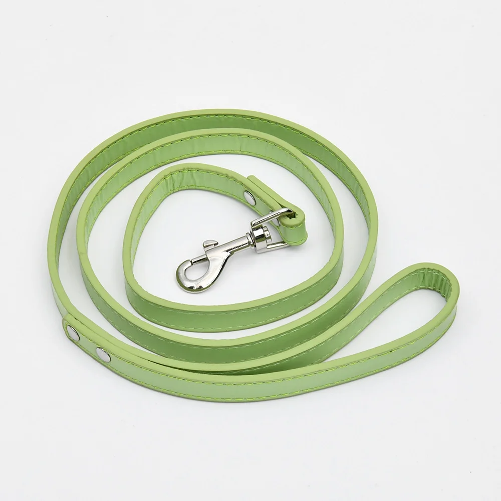 Leather Alloy Buckle Outdoor Pet Leash — variant image