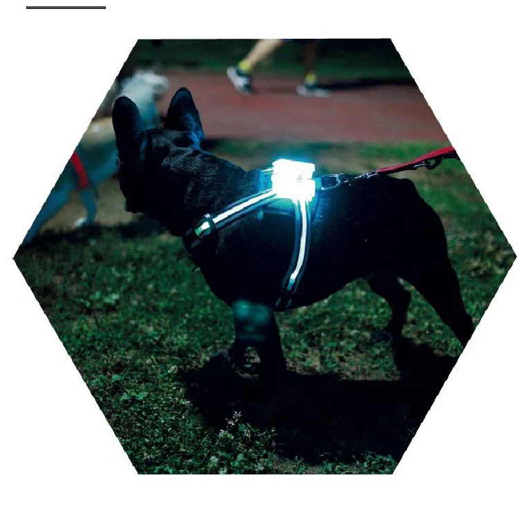 LED Luminous Anti-lost Anti-car Accident Warning Flashing Dog Harness — image 2