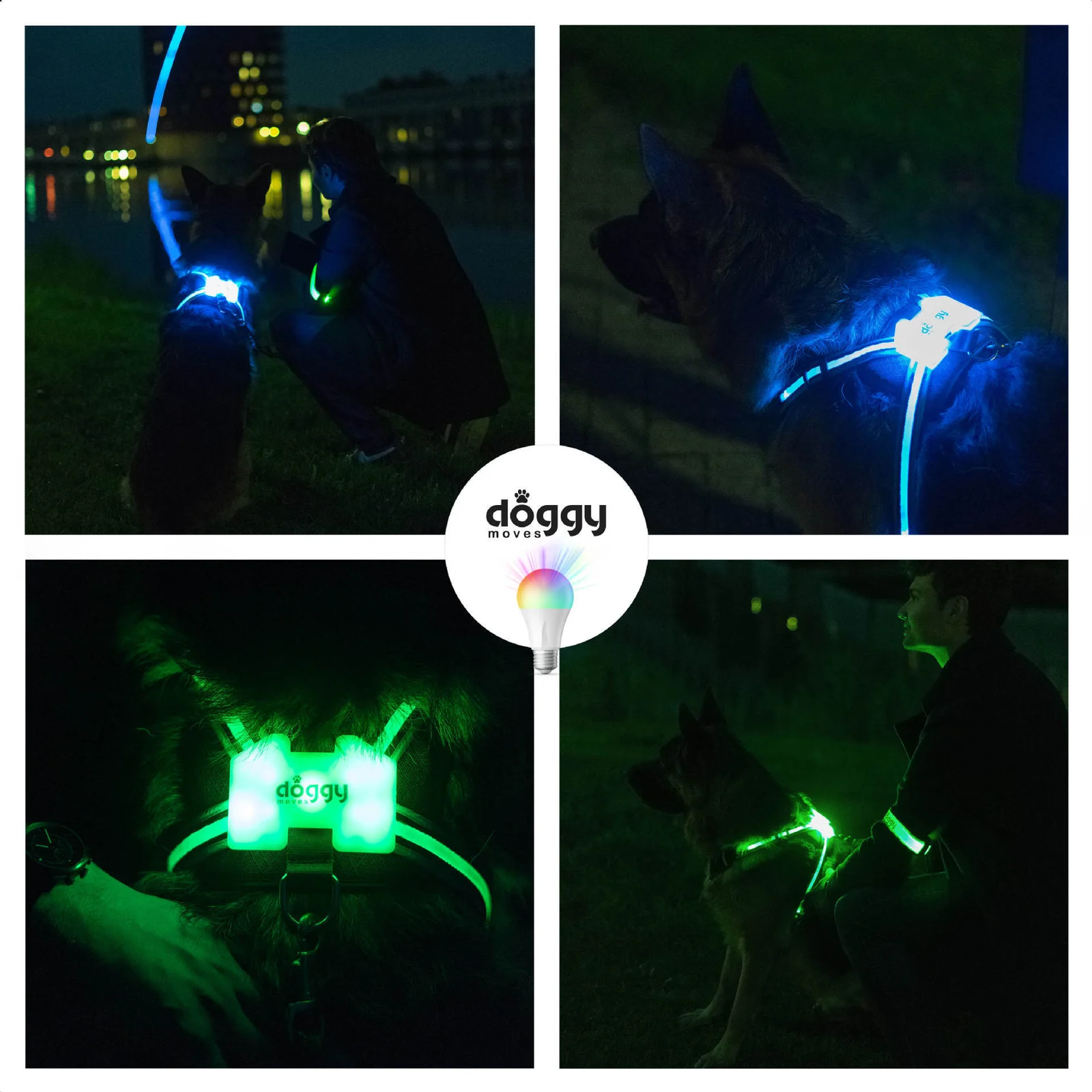 LED Luminous Anti-lost Anti-car Accident Warning Flashing Dog Harness — image 1