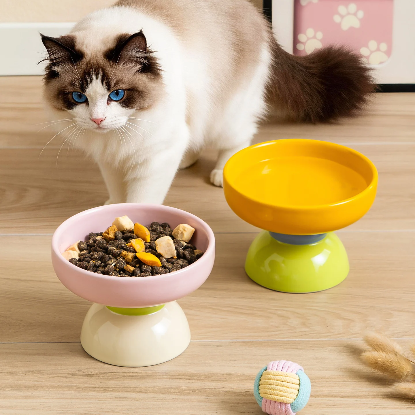 Macaron Color-block Ceramic Elevated Pet Bowl — image 6