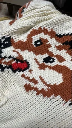 Mens Fox Jacquard Sweater Cardigan — image 6