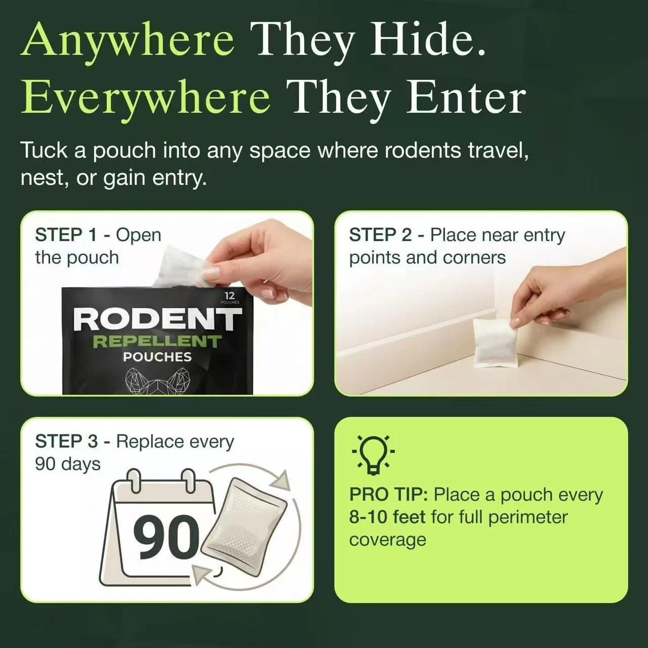 Mouse Control In The Kitchen Reduces Rodent Interference With Furniture — image 2