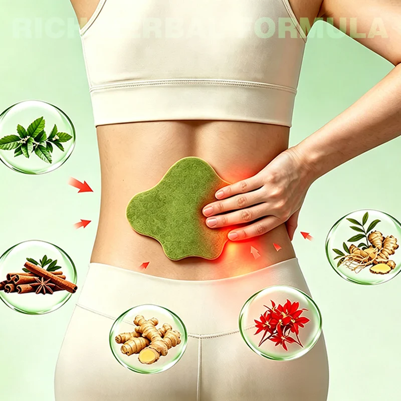 Natural Wormwood Heat Patches, Self Adhesive Warm Herbal Plaster For Waist & Body, 10… — image 5