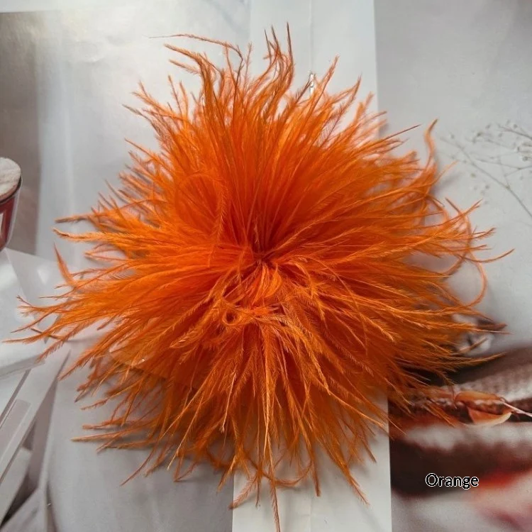 New Colorful Ostrich-feather Brooch Headdress Hair Clip — image 2