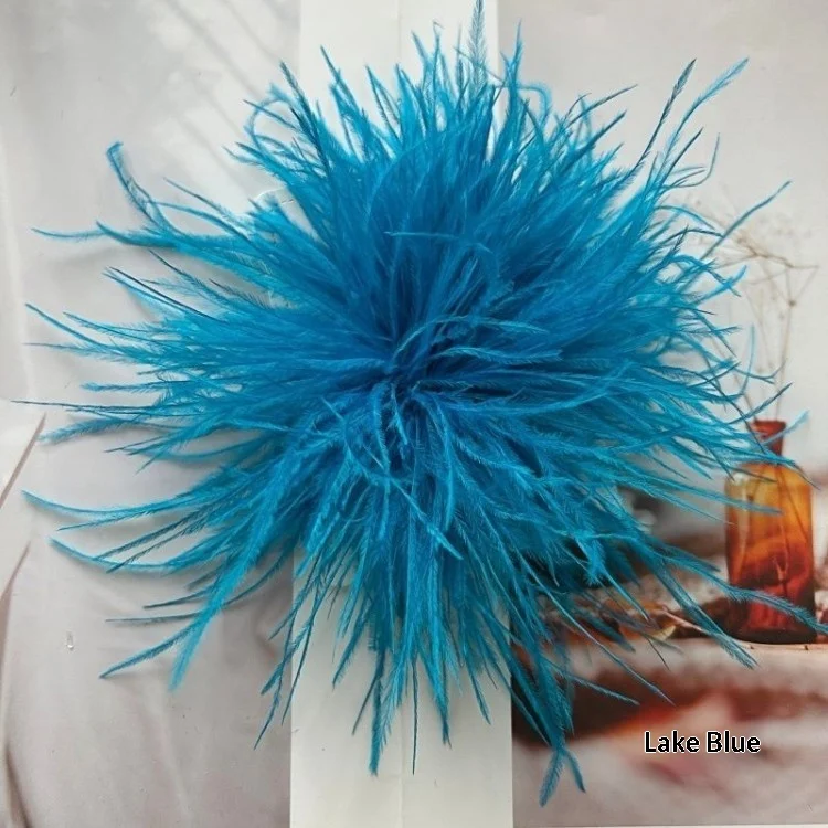 New Colorful Ostrich-feather Brooch Headdress Hair Clip — image 18