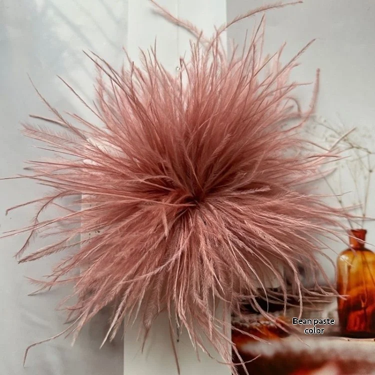 New Colorful Ostrich-feather Brooch Headdress Hair Clip — image 13