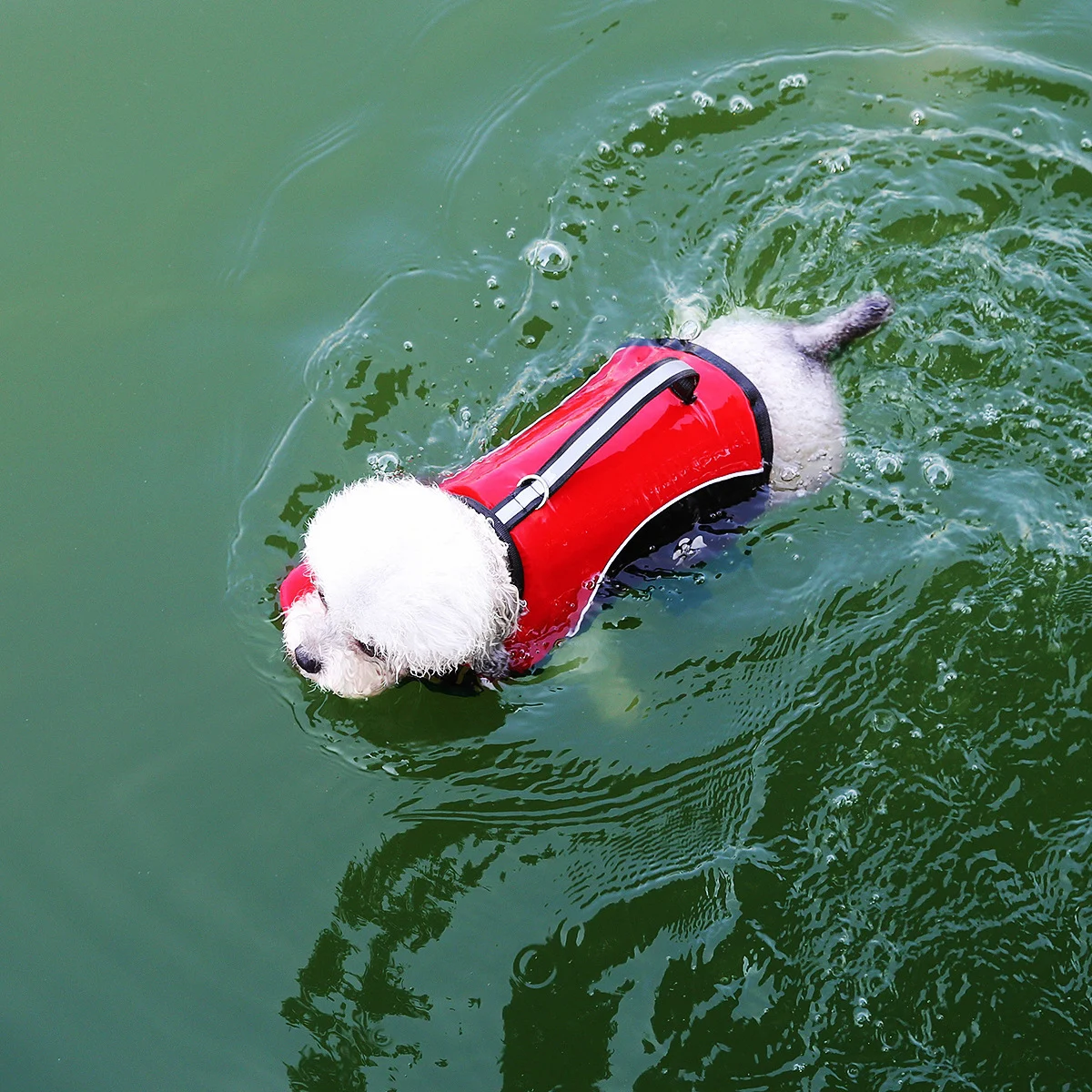 New Summer Puppy Swimming Training Suit — image 2