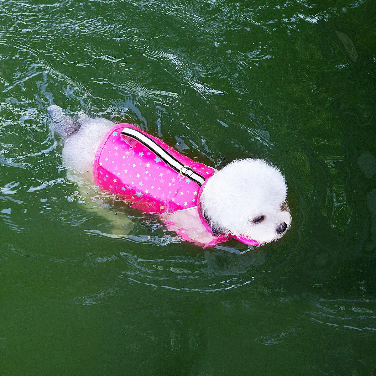 New Summer Puppy Swimming Training Suit — image 5