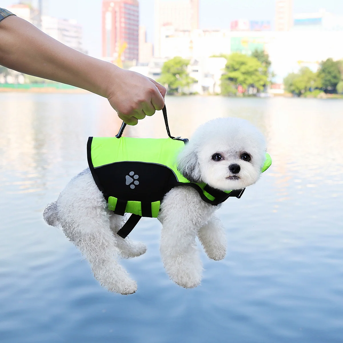 New Summer Puppy Swimming Training Suit — image 3