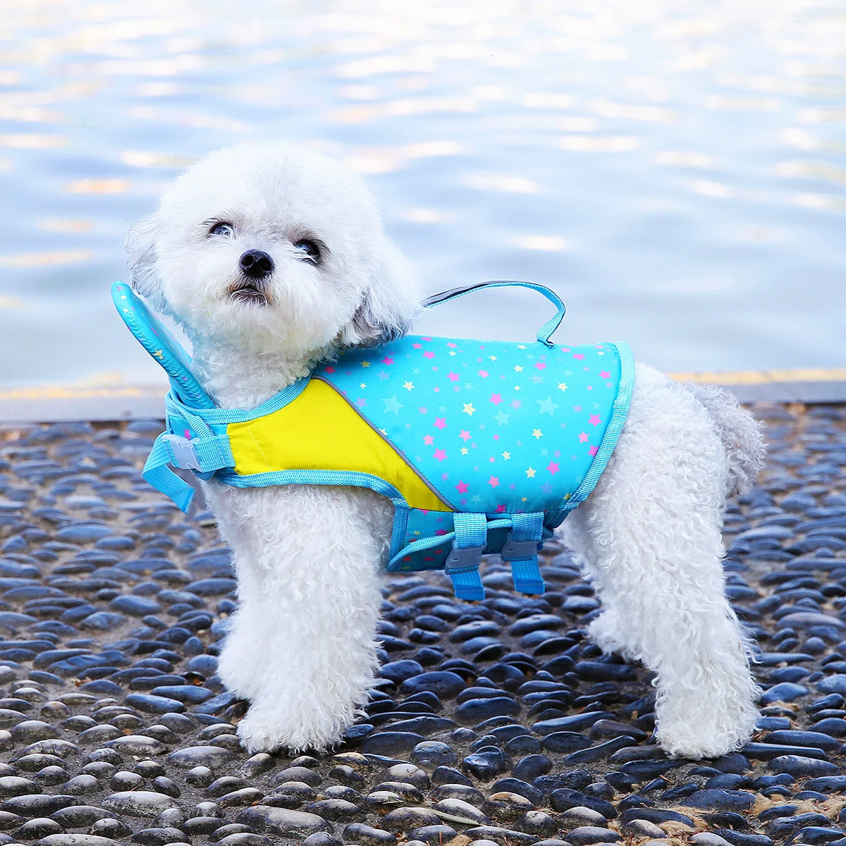 New Summer Puppy Swimming Training Suit — image 6