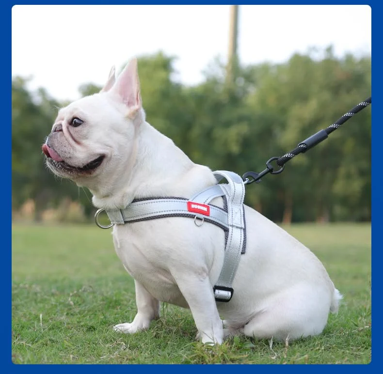 No Pull Dog Harness With 3 Clips And Soft Padded Handle Breathable Mesh Padded,… — image 10