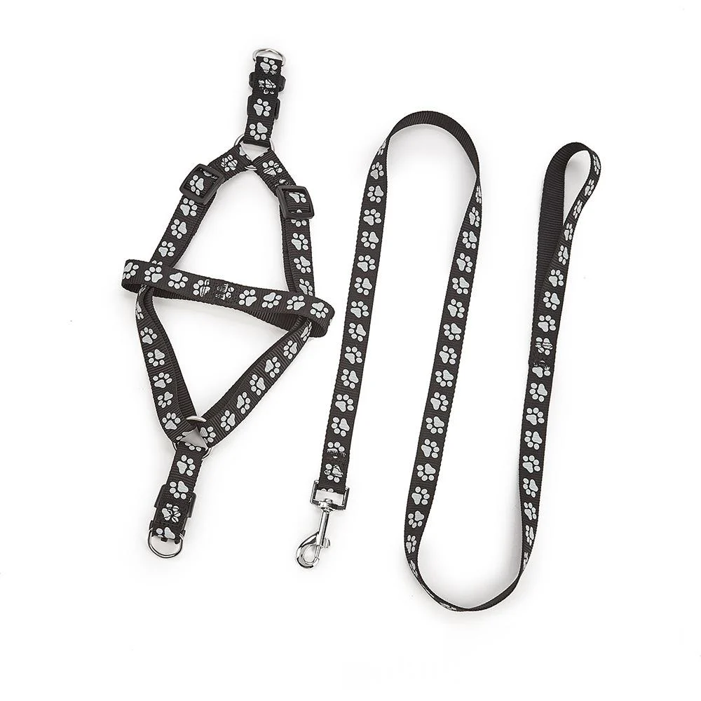 Nylon Medium-sized Dog Leash — image 6