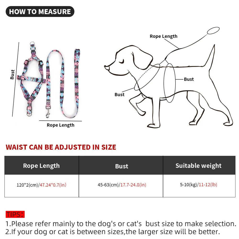Nylon Medium-sized Dog Leash — image 7