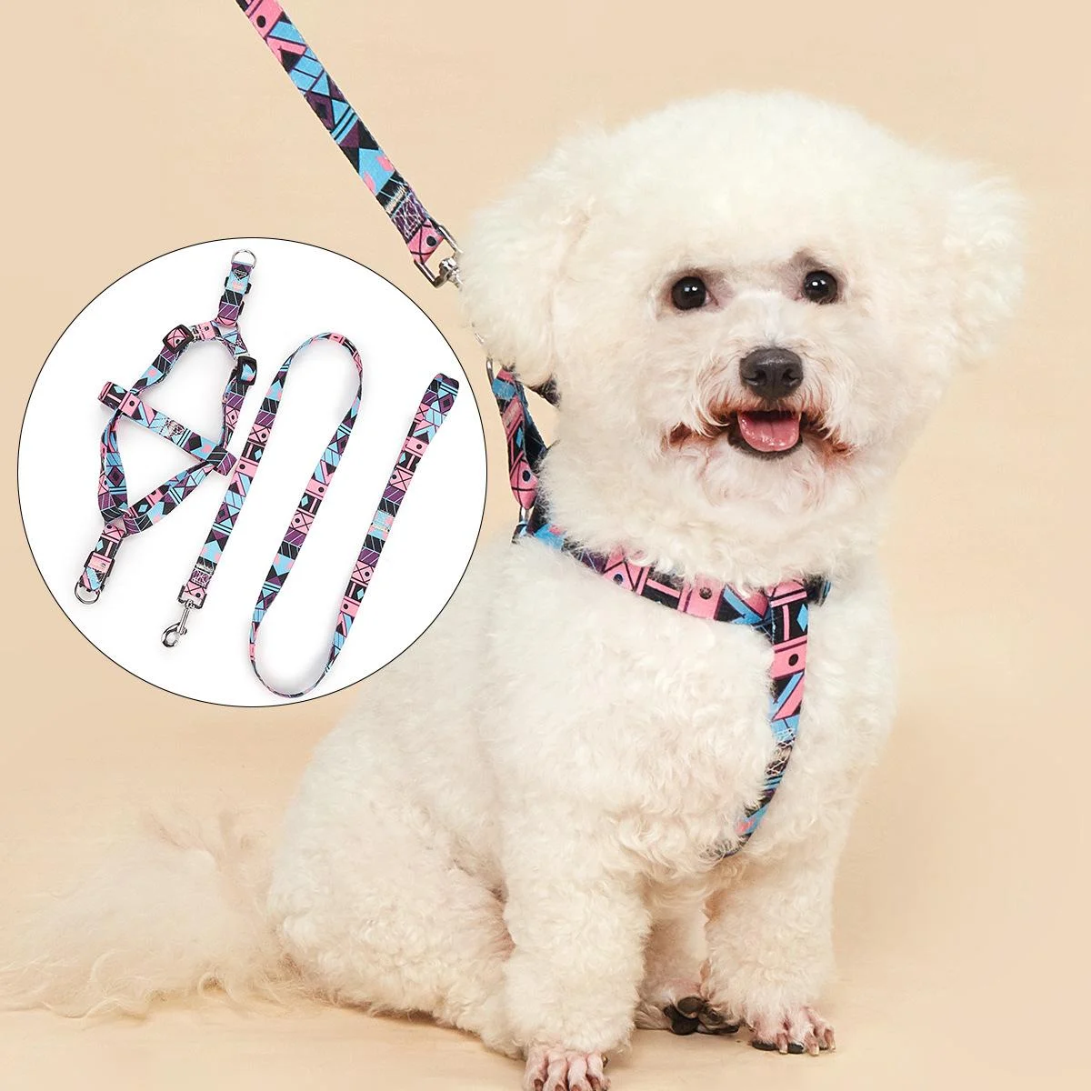 Nylon Medium-sized Dog Leash — image 2