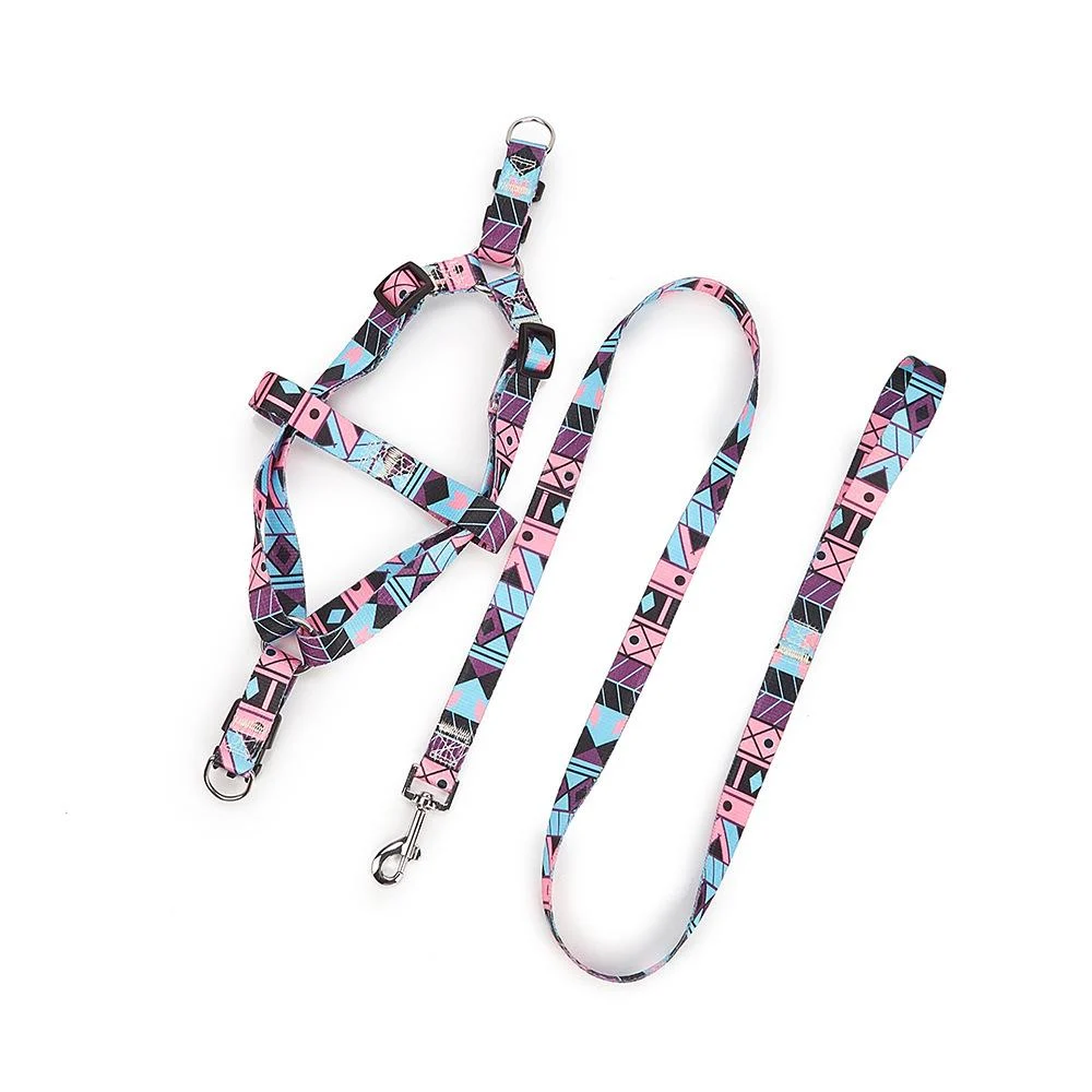 Nylon Medium-sized Dog Leash — image 4