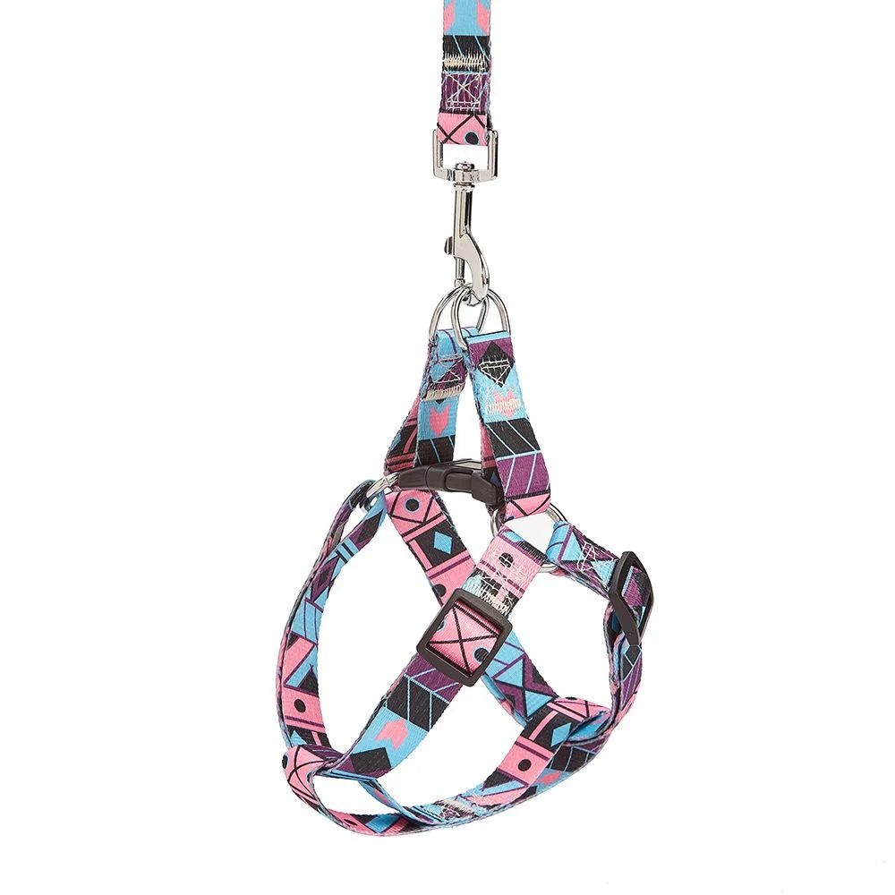 Nylon Medium-sized Dog Leash — image 5