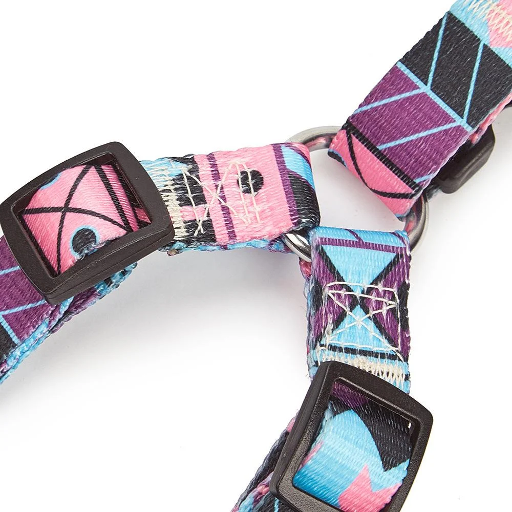 Nylon Medium-sized Dog Leash — image 3