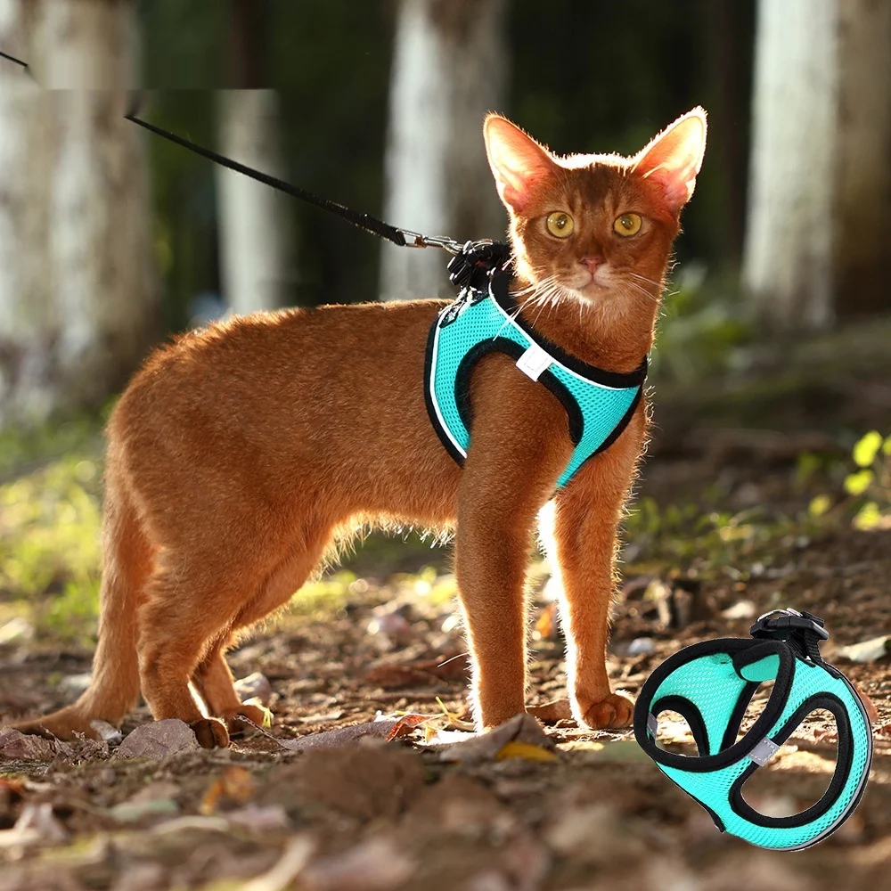 Outdoor Dog-walking Vest-style Harness Leash — image 5