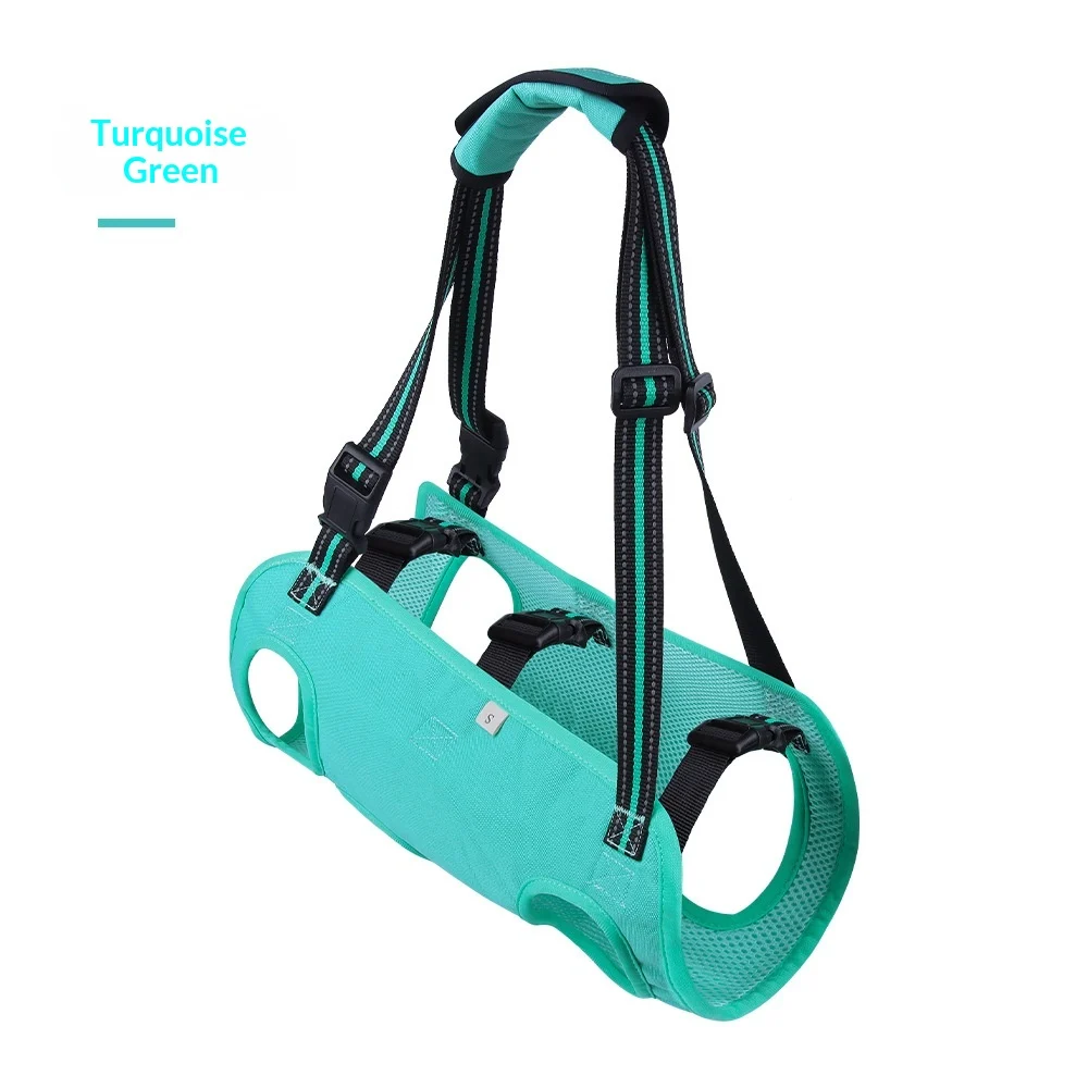 Pet-assisted Rehabilitation Harness For Travel — image 2