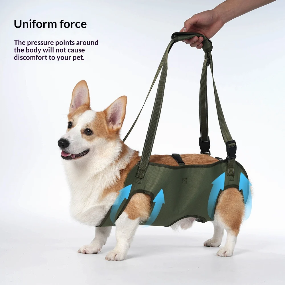 Pet-assisted Rehabilitation Harness For Travel — image 1