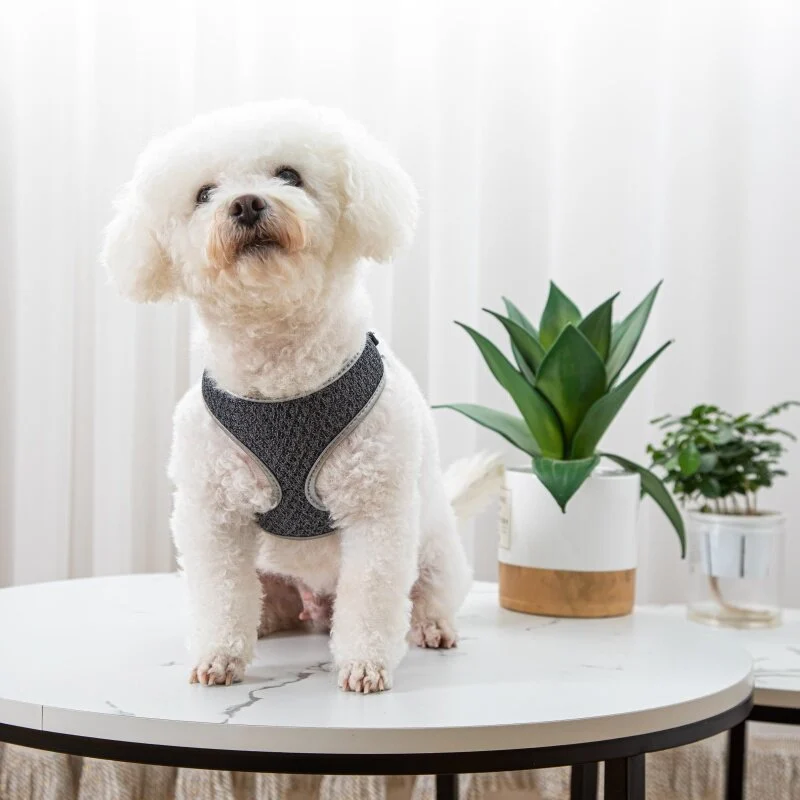 Pet Dog Walking Leash Vest-style Harness — image 3