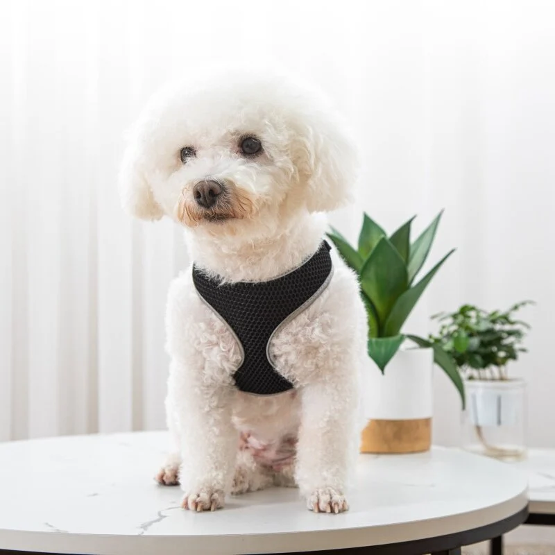 Pet Dog Walking Leash Vest-style Harness — image 6