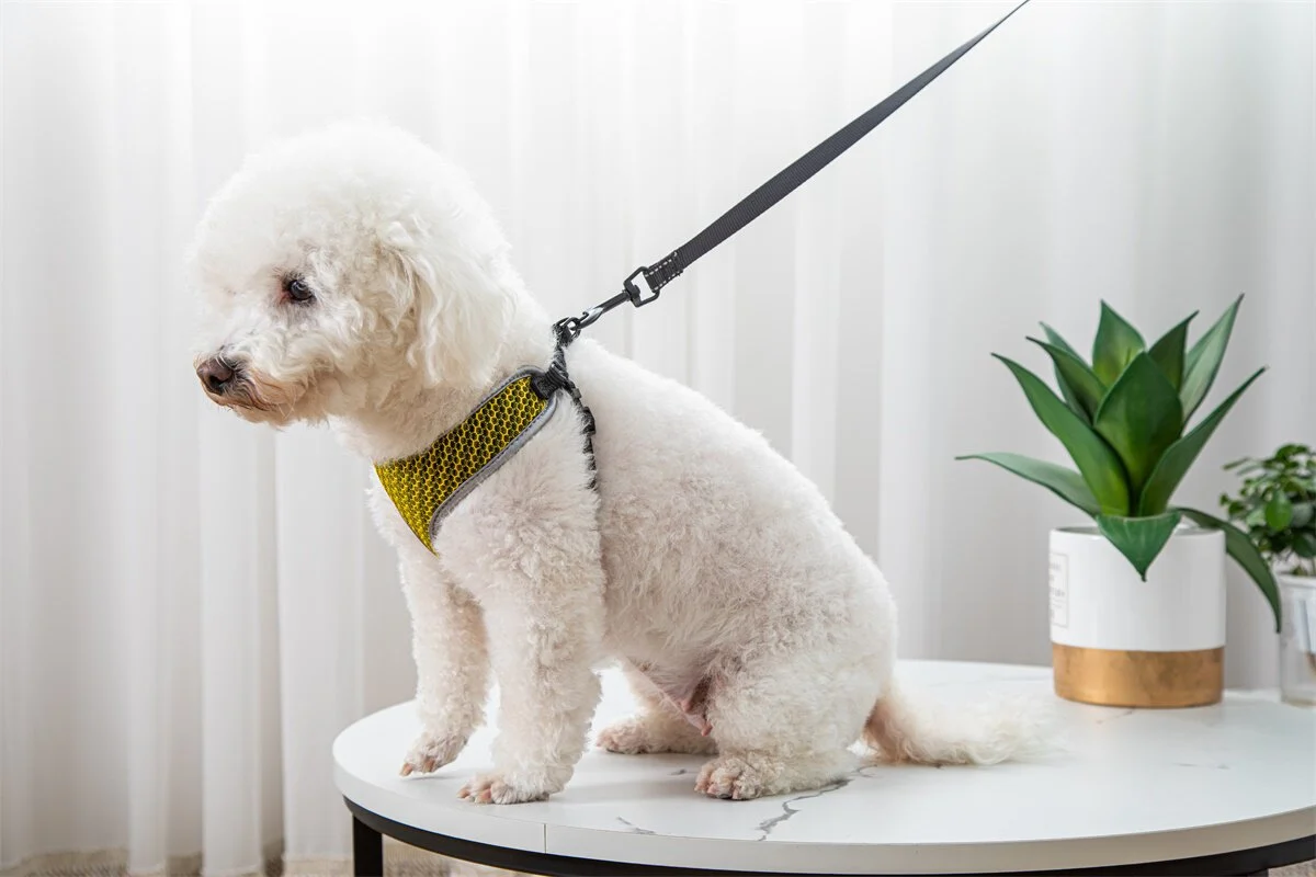 Pet Dog Walking Leash Vest-style Harness — image 7