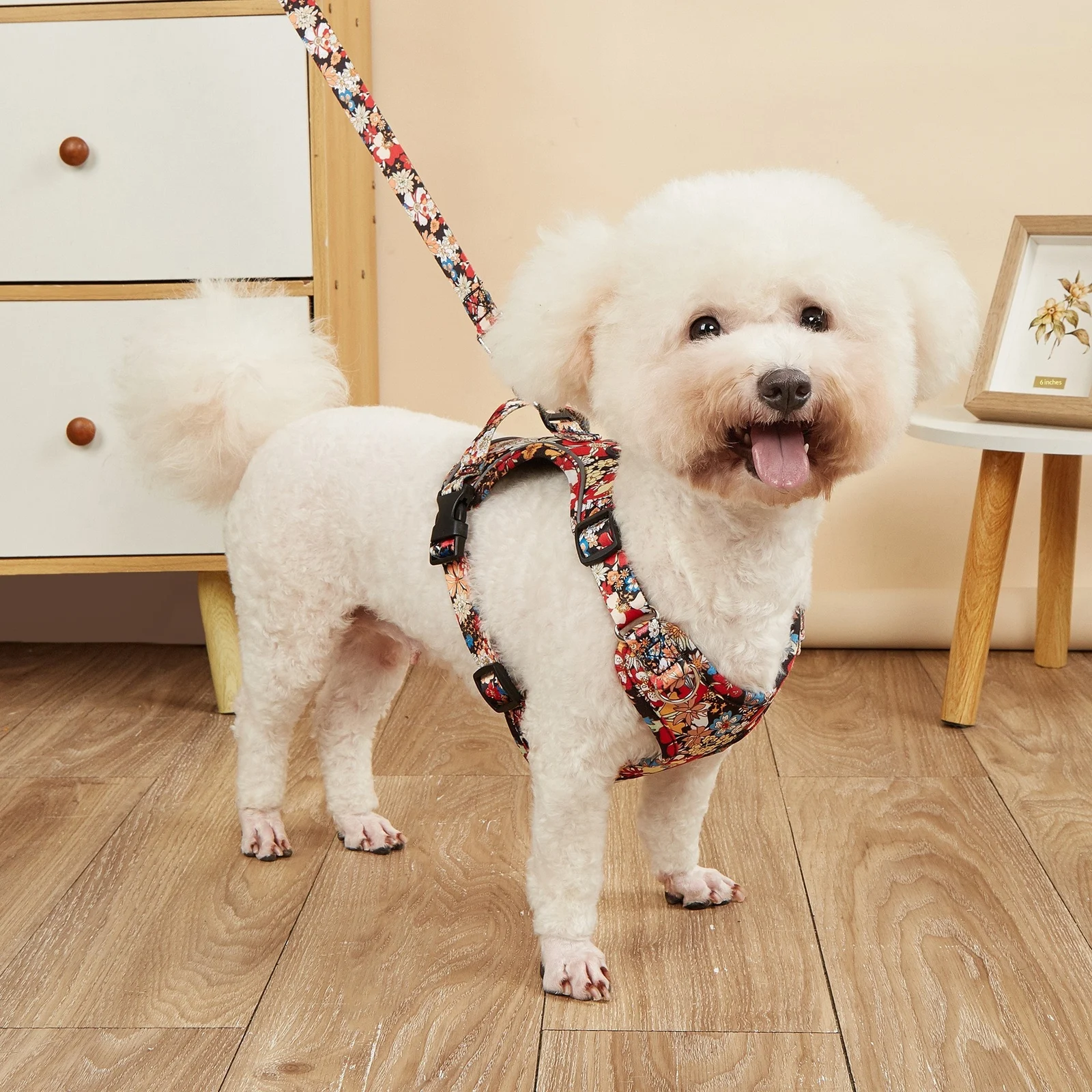 Pet Harness Haulage Rope Package — image 7