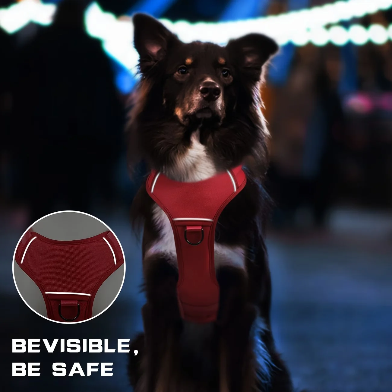 Pet Leash And Harness Supplies — image 3