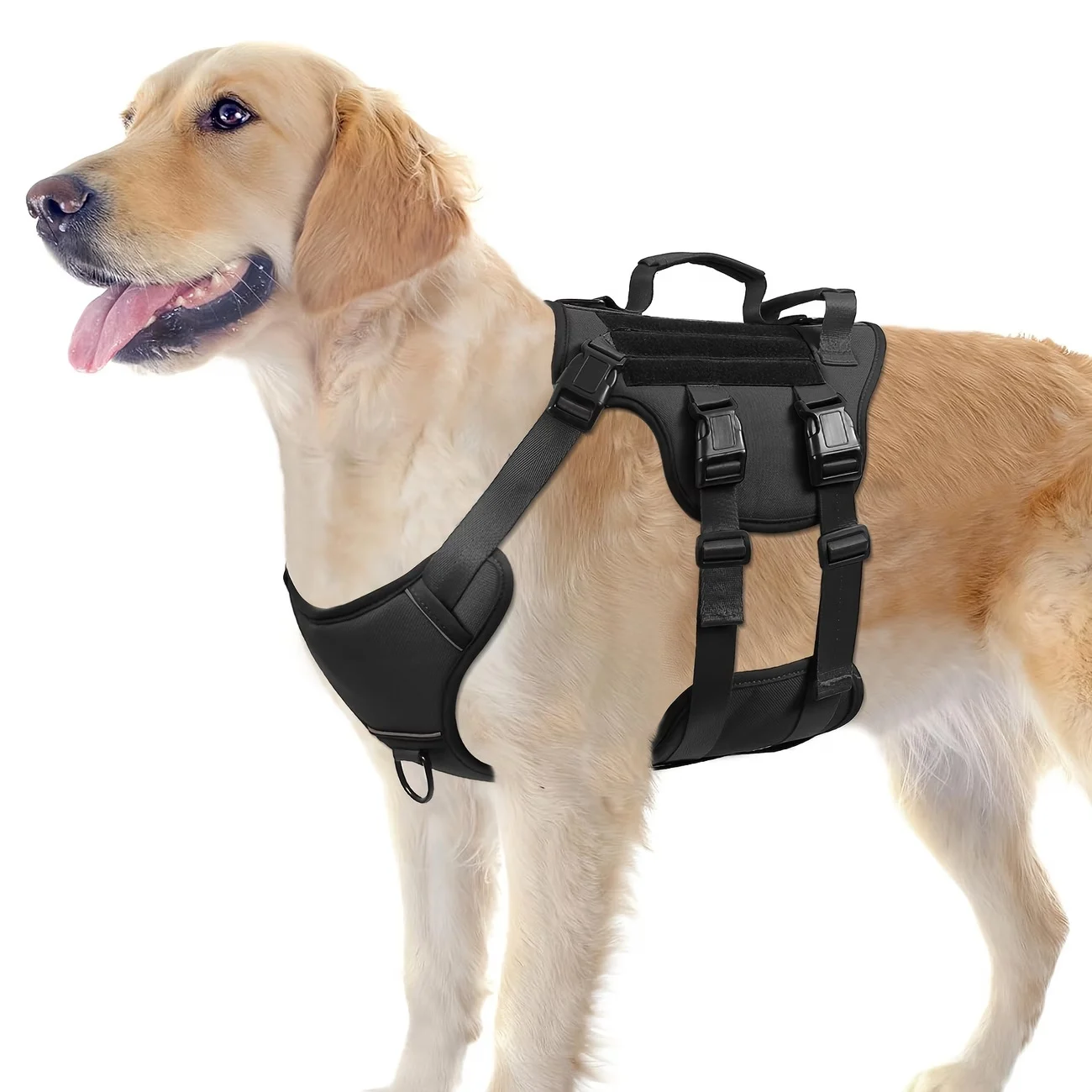 Pet Leash And Harness Supplies — image 5