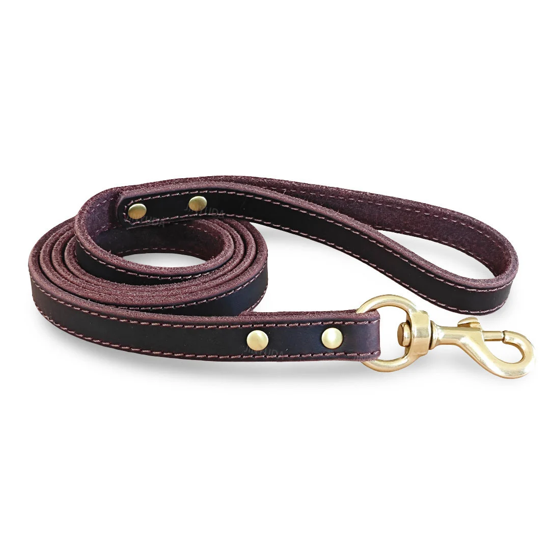 Pet Rope Dog Leash Genuine Full-grain Leather Brass — image 5
