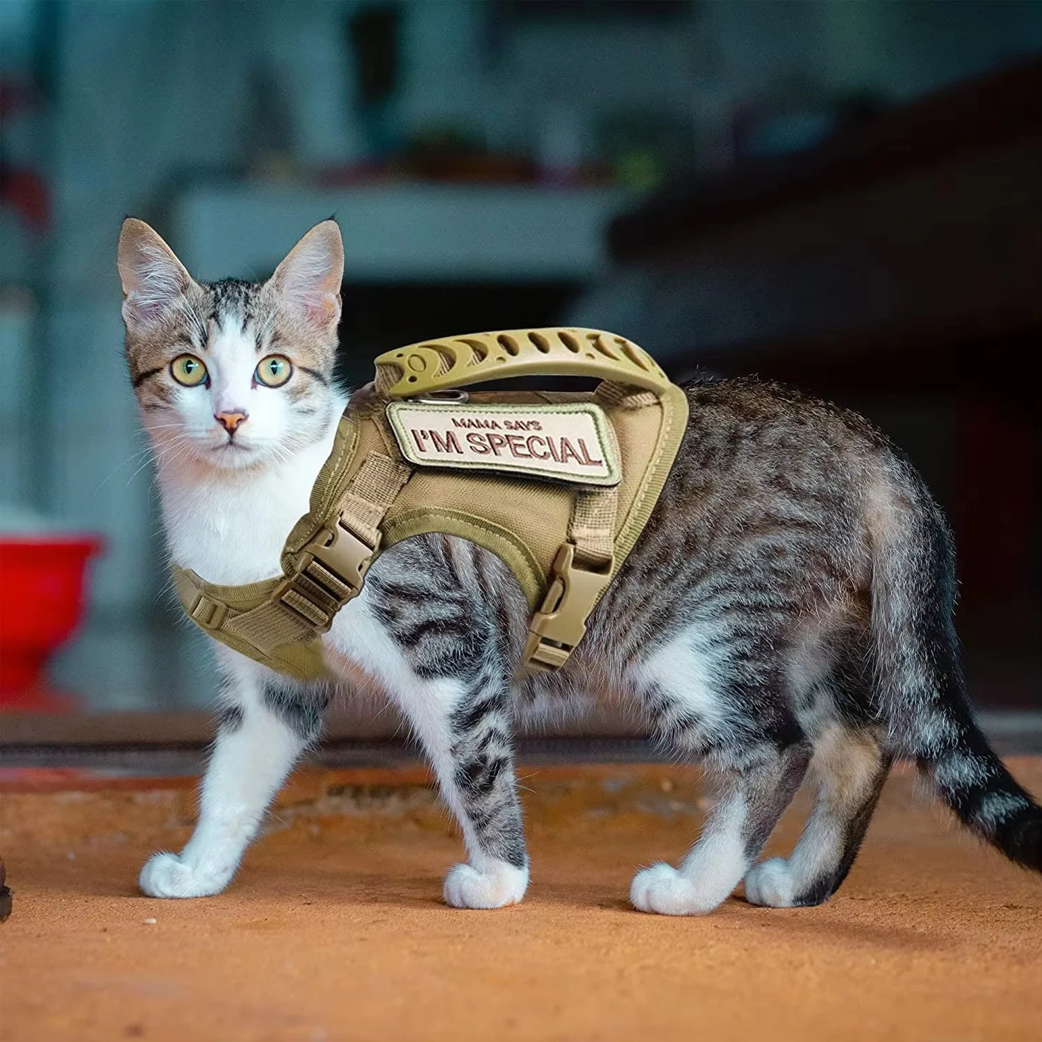 Pet Velcro Harness Vest-style — image 6