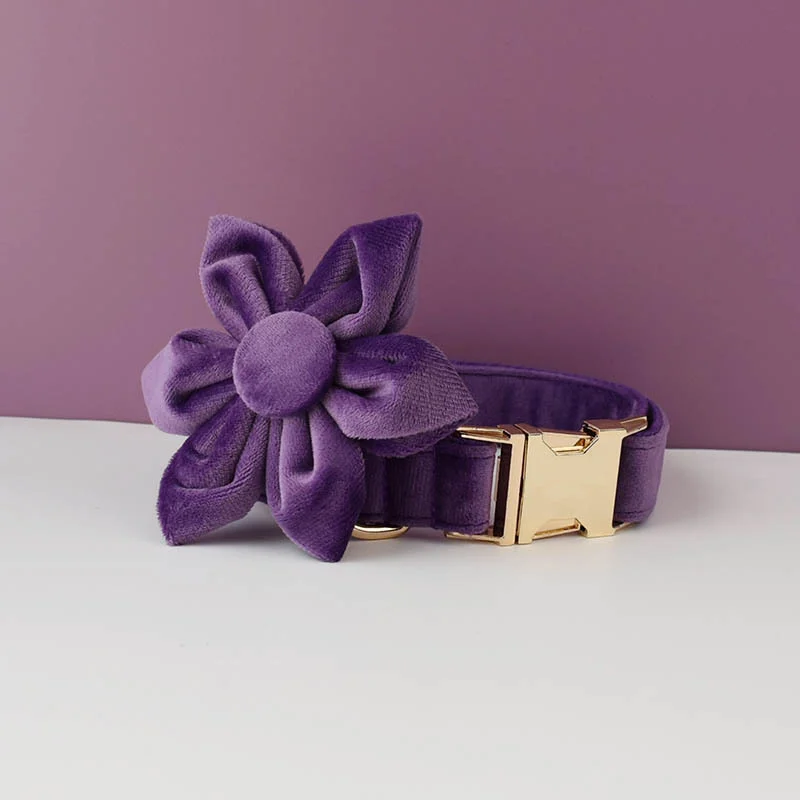 Plush Dog Collar And Leash Pet Supplies — image 7
