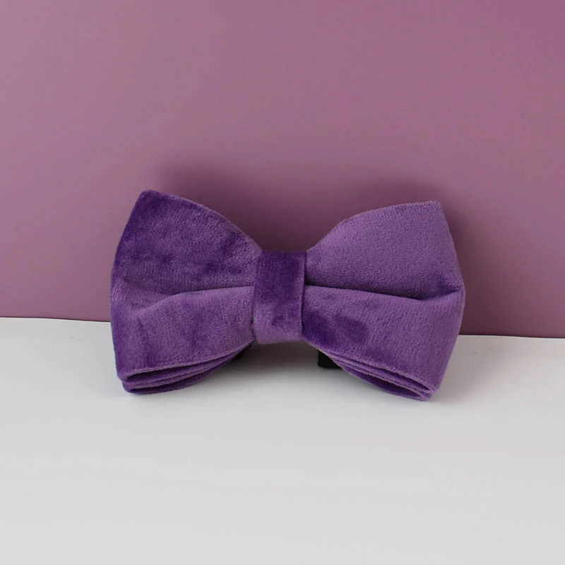 Plush Dog Collar And Leash Pet Supplies — image 6