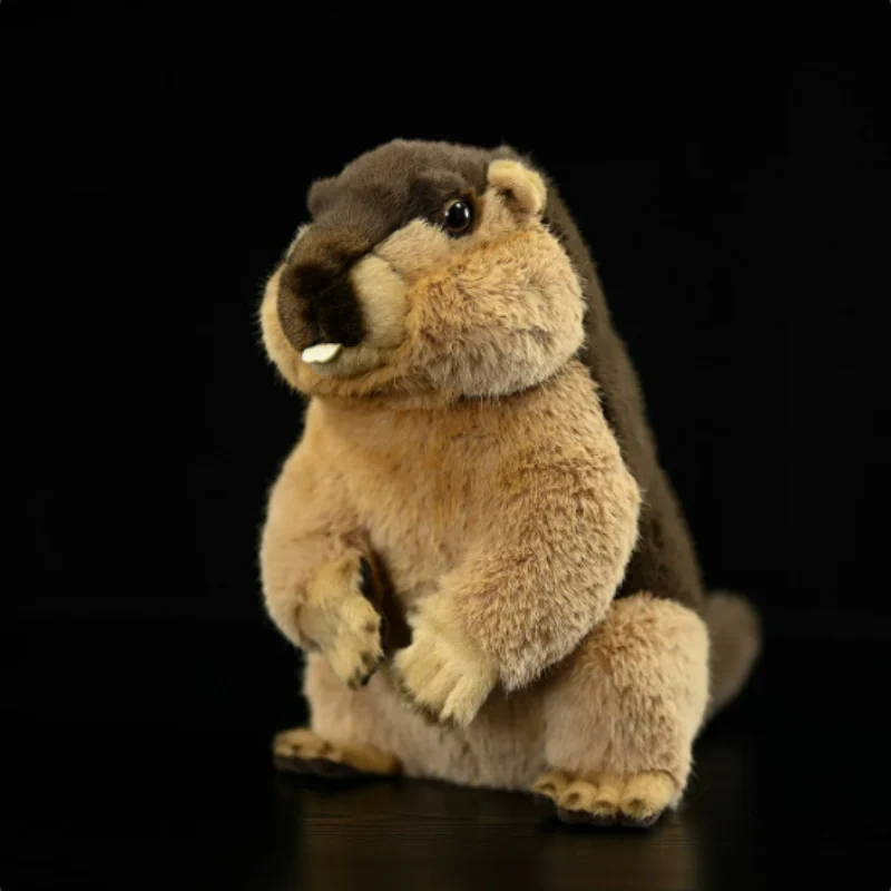 Rabbit Plush Toy Doll — image 5