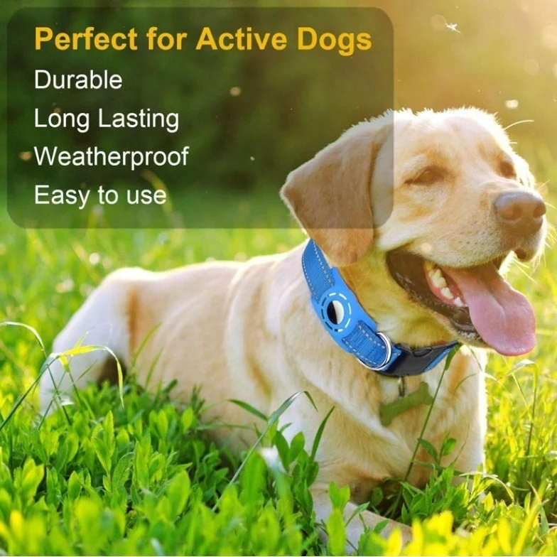 Reflective Adjustable Cat And Dog Anti-lost Pet Collar — image 8