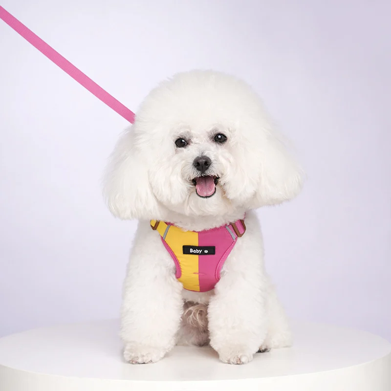 Reflective Dog Harness With Two-tone Design And Leash — image 7