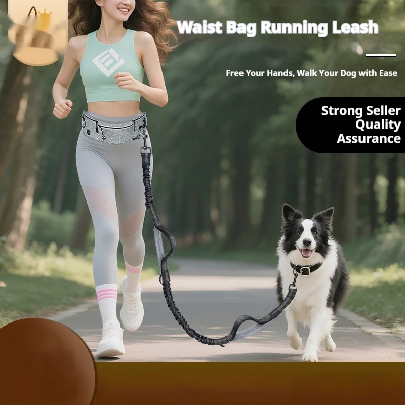 Reflective Multifunctional Retractable Pet Leash — image 5