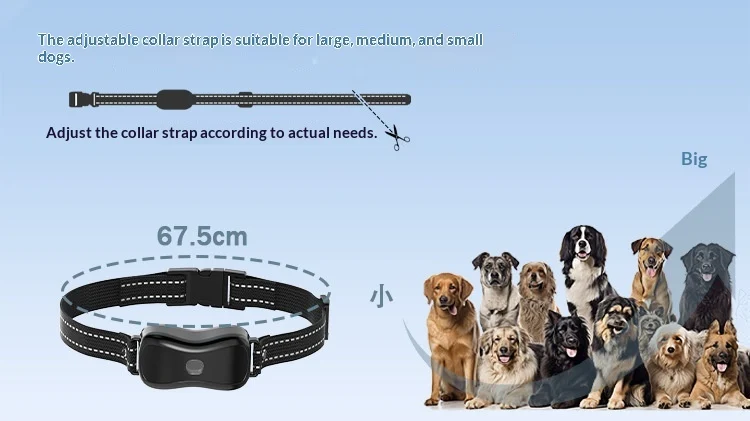 Remote 2-in-1 Pet Dog Training Device. — image 6