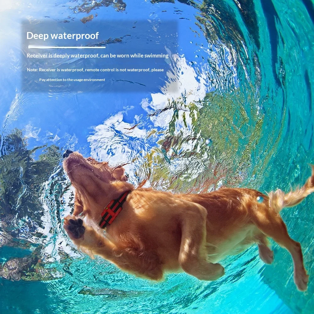 Remote-controlled Anti-barking Device That Prevents Barking From A Distance — image 3