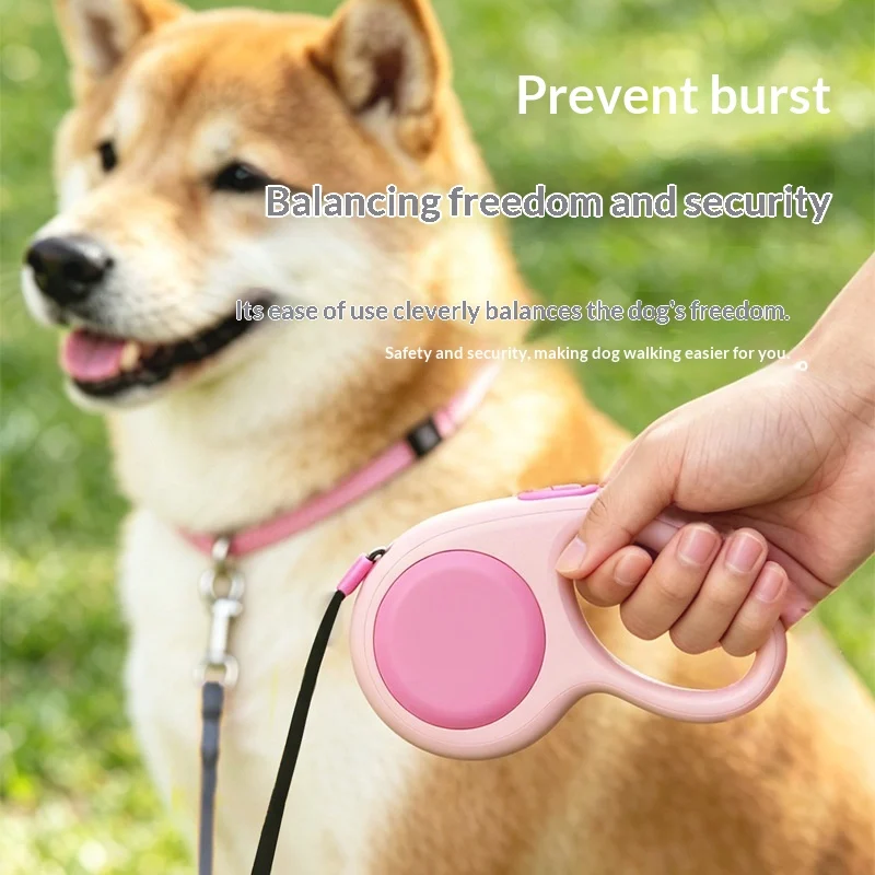 Retractable Automatic Dog Leash, Walking Rope For Small Medium Dogs & Schnauzer. — image 8
