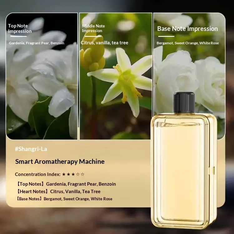Room Living Purifying Air Humidifying Lasting Diffuse Spray — image 4