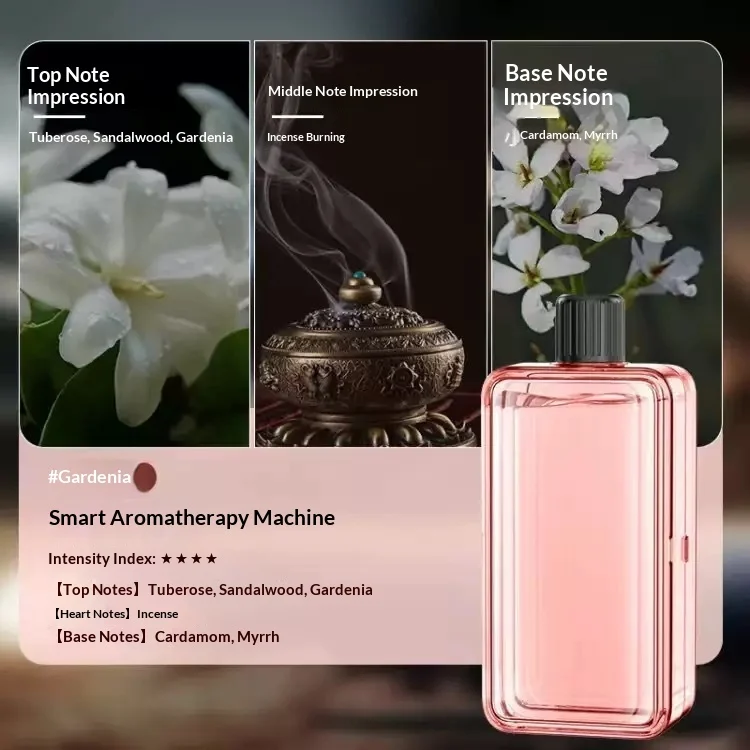 Room Living Purifying Air Humidifying Lasting Diffuse Spray — image 3