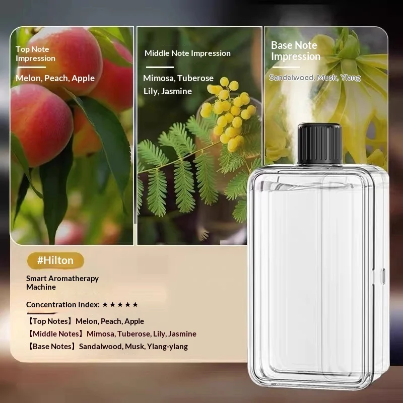 Room Living Purifying Air Humidifying Lasting Diffuse Spray — image 2