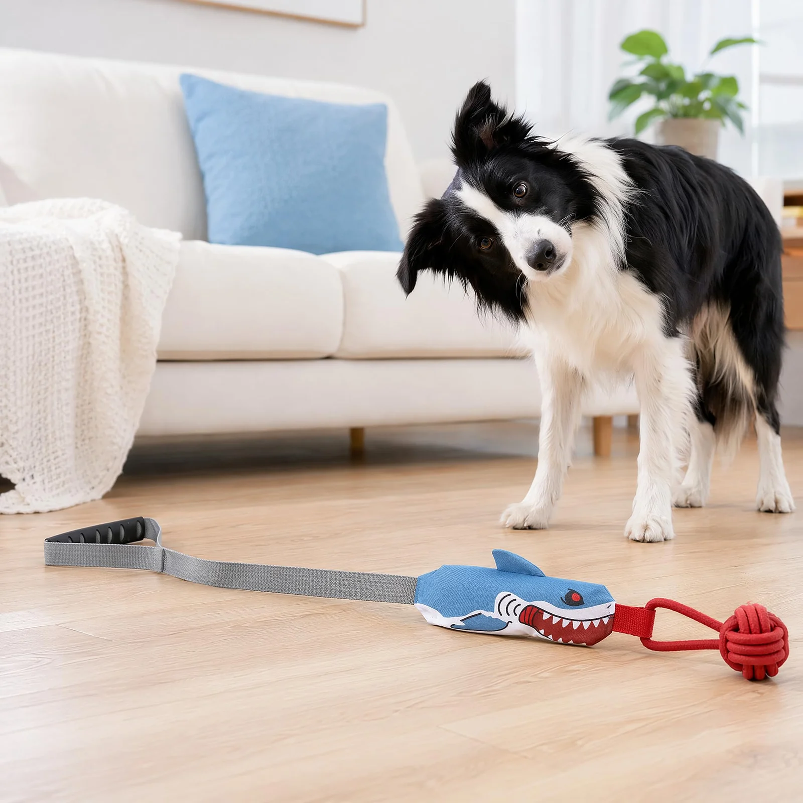 Shark Dog Tug Of War Toy, Interactive Squeaky Rope Chew Toys For Dogs — image 4