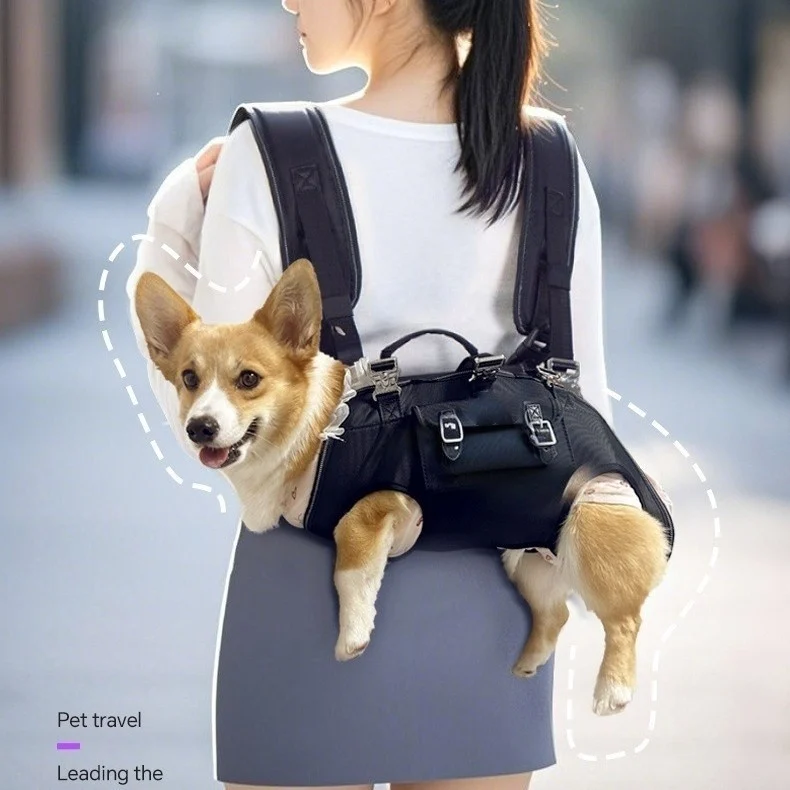 Shoulder- And Crossbody Pet Dog Backpack, Small Leash Handbag — image 3