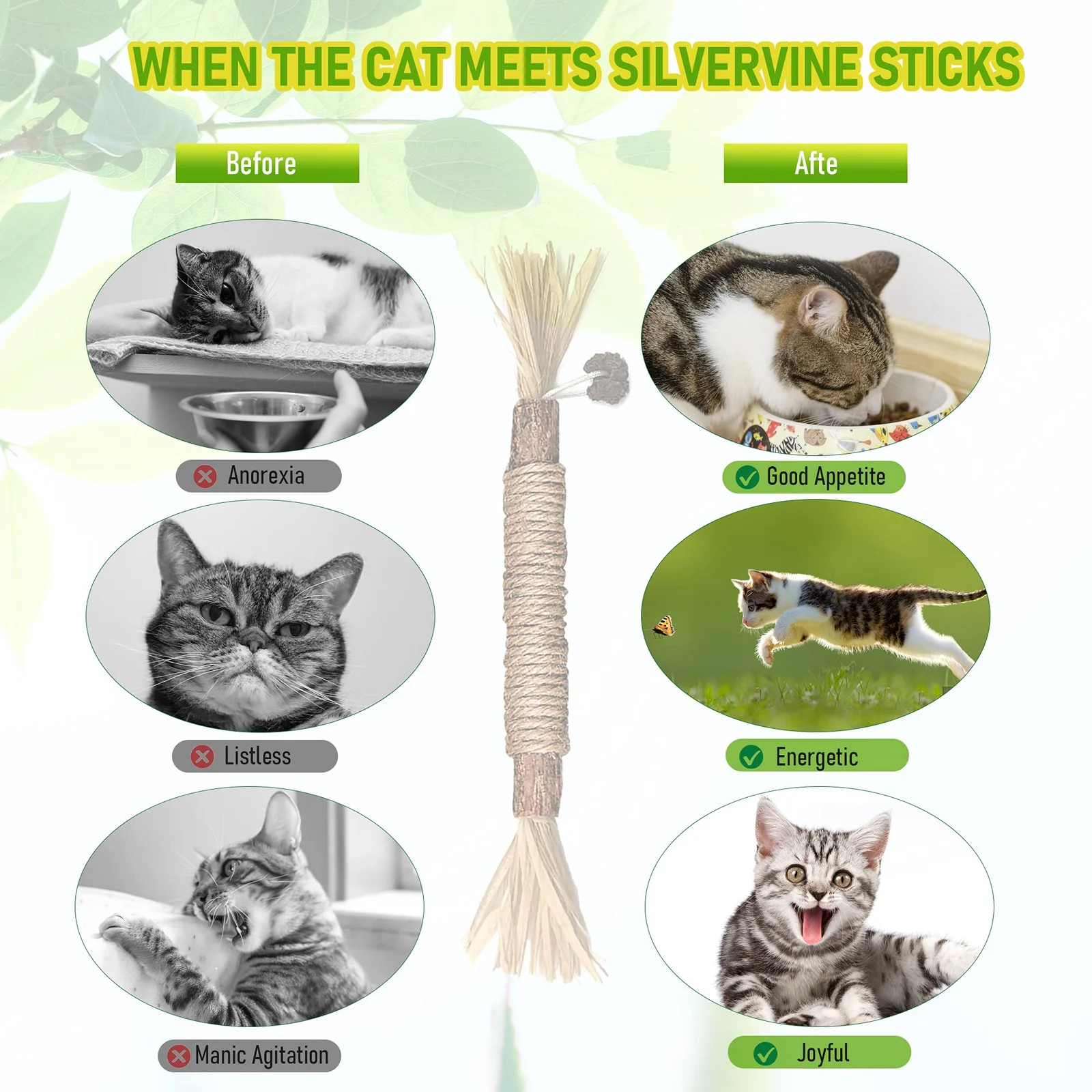 Silvervine Sticks Cat Chew Toys For Indoor Cats Dental Care Teeth Cleaning, Natural… — image 8